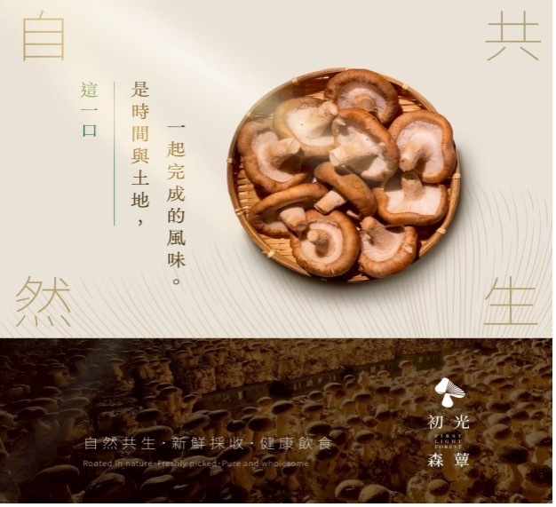 初光森蕈圖片